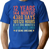12 Years Of Being Awesome Vintage 12th Birthday Funny Gift T-Shirt - Blue
