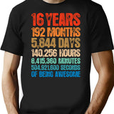 16 Years Old 16th Birthday Retro Vintage 2003 Birthday Gift T-Shirt - Black