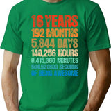 16 Years Old 16th Birthday Retro Vintage 2003 Birthday Gift T-Shirt - Green