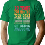 20 Years 240 Months Being Awesome 20th Birthday Teen Gifts - Green