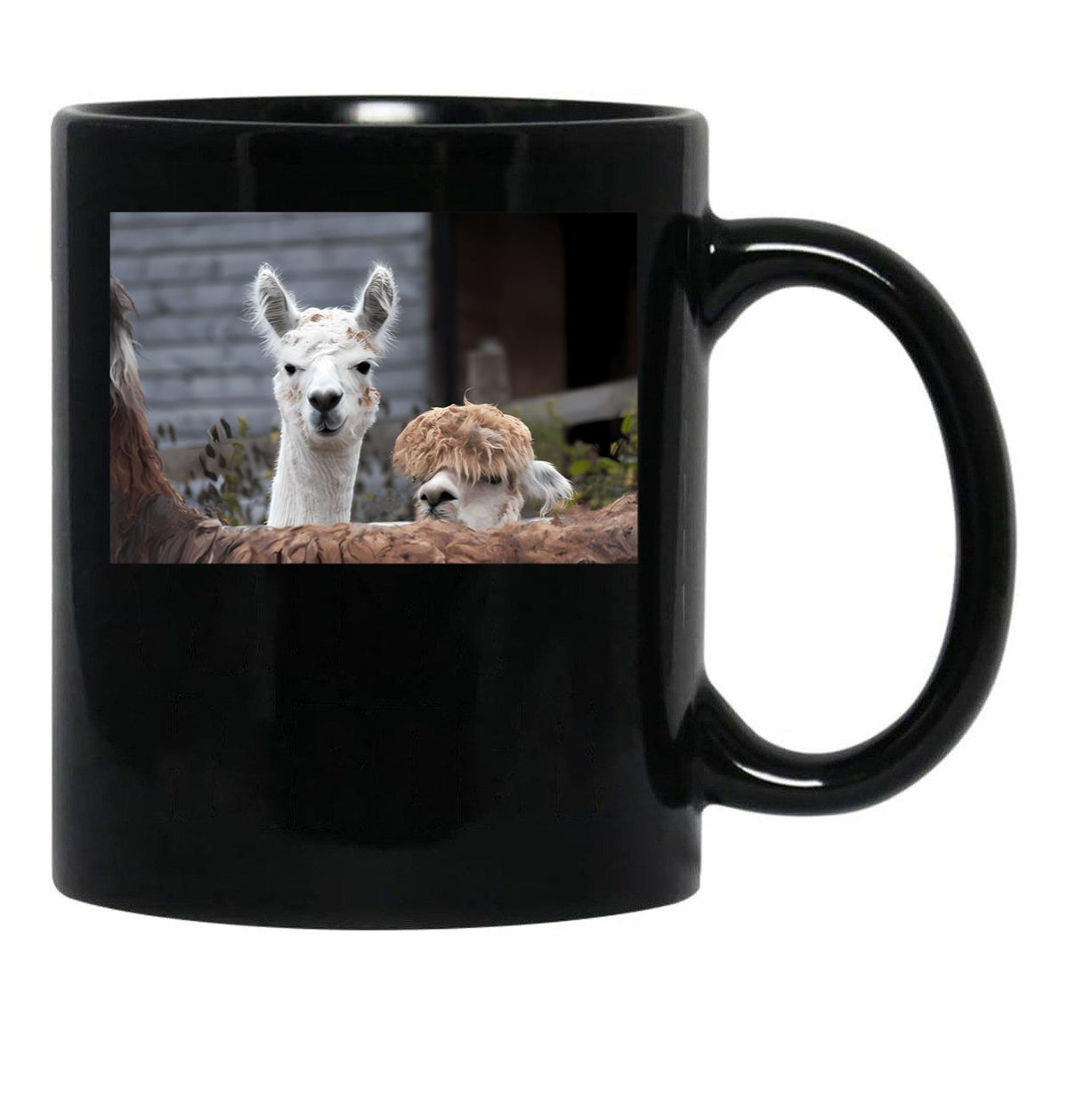 Curious Alpacas Cute Animals Black Coffee Mug, Gift Coffee Mug - Black