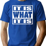 It Is What It Is - Man Woman Funny Gift T-shirt - Blue